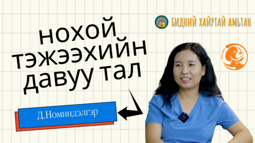 Нохой тэжээхийн давуу тал